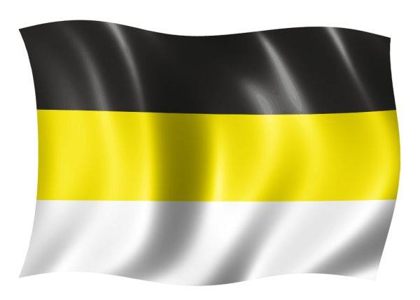 Проект Бастион